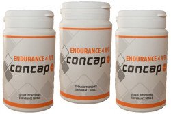 Concap Endurance 4/AB - 90 capsules (3 pack)